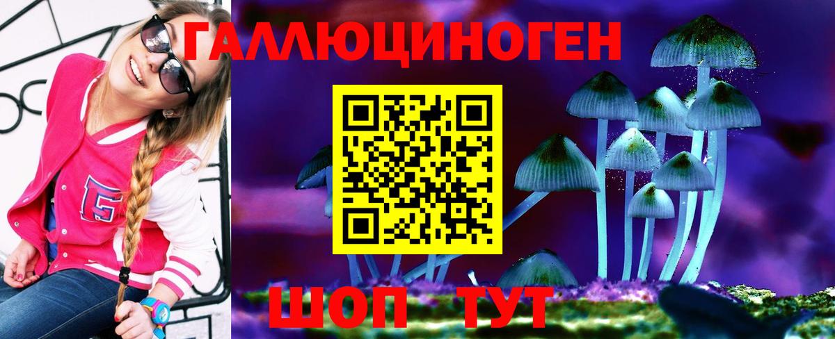 Урюпинск  Псилоцибиновые грибы Magic Shrooms  Вход с VPN 